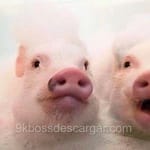 Avatar de Alejandra Reyes